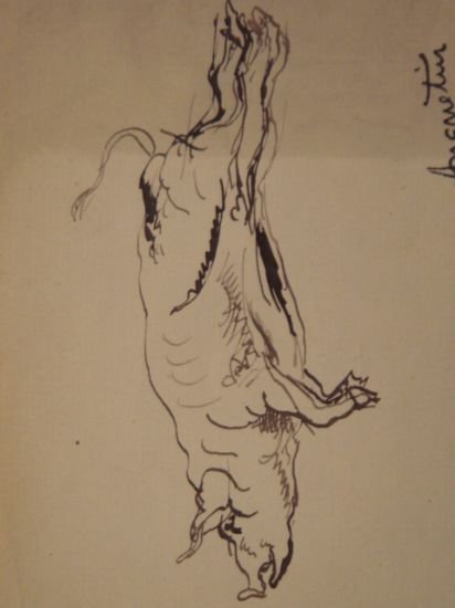 Cochon suspendu par les pieds - Encre sur papier