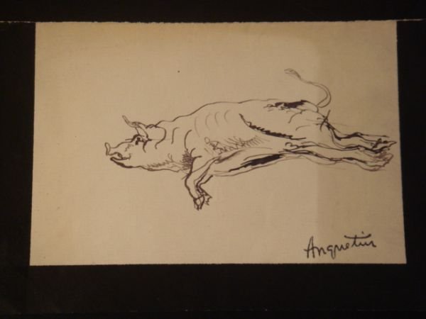 Cochon suspendu par les pieds - Encre sur papier