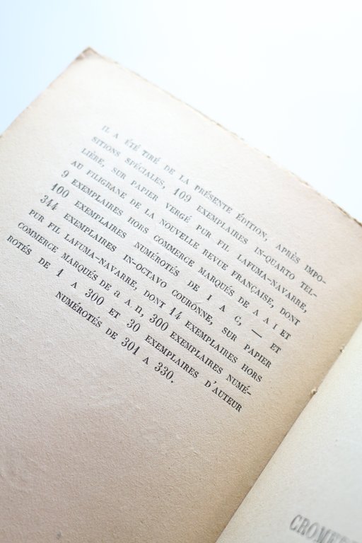 Cromedeyre-le-Vieil. - Amédée et les messieurs en rang