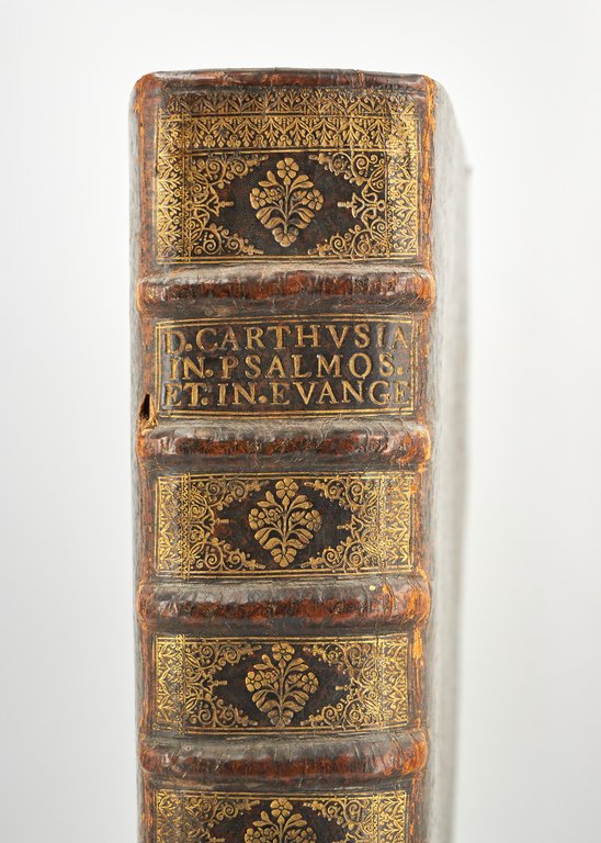 D. Dionysii Carthusiani insigne comentariorum opus, in Psalmos omnes Dauidicos. …