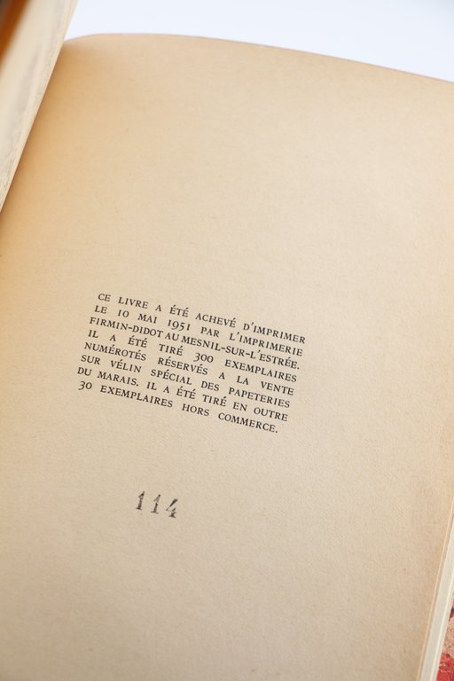 Dans l'Ombre de l'Histoire