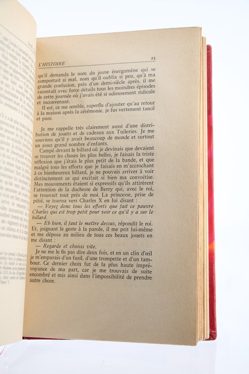 Dans l'Ombre de l'Histoire