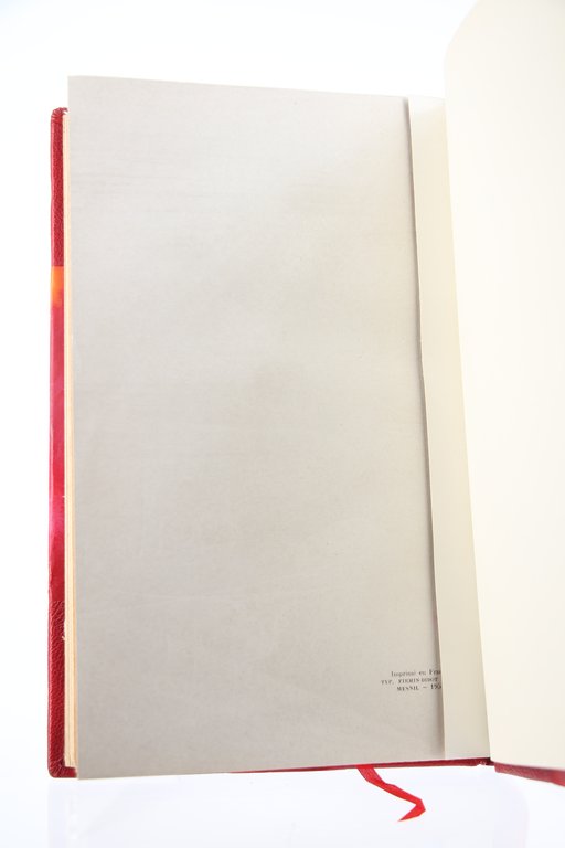 Dans l'Ombre de l'Histoire