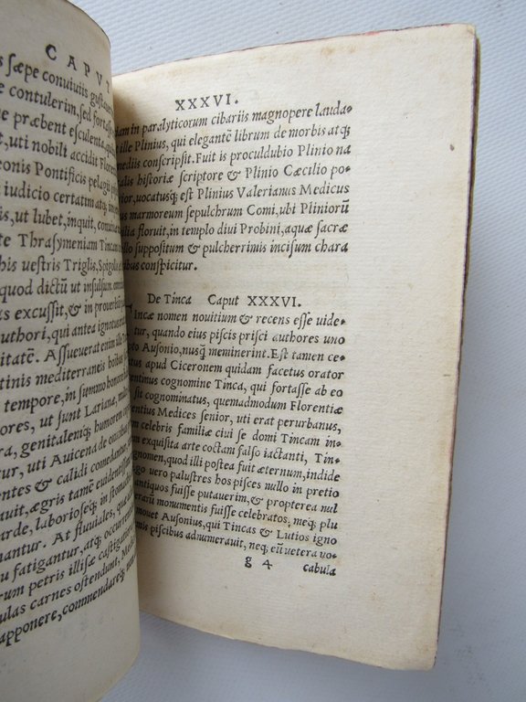 De romanis piscibus libellus, doctus, copiosus & elegans, iam recens …