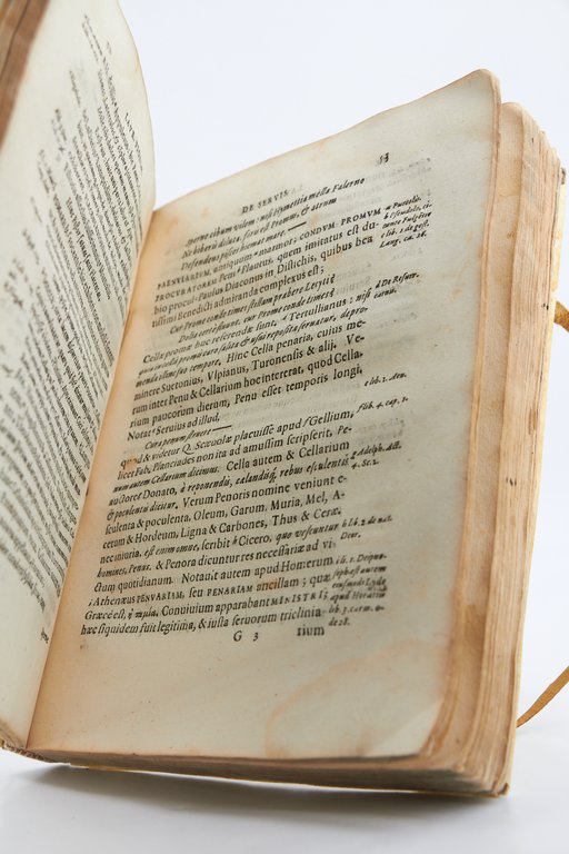 De servis et Eorum apud Veteres Ministeriis, Commentarius, In quo …