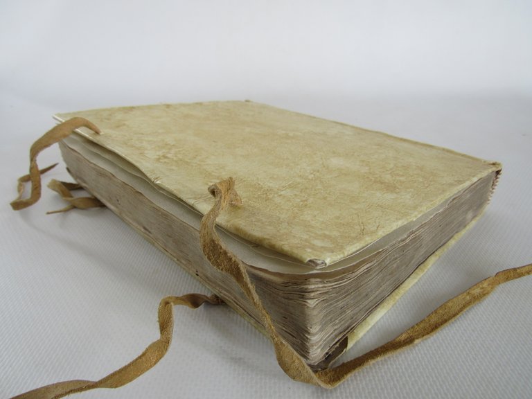 De servis et Eorum apud Veteres Ministeriis, Commentarius, In quo …