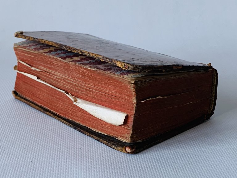 De servis et Eorum apud Veteres Ministeriis, Commentarius, In quo …