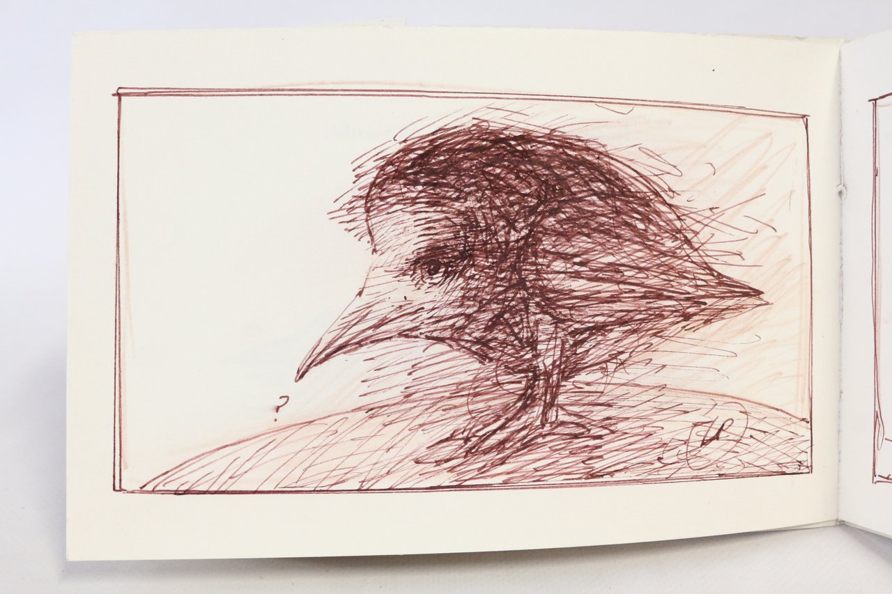 Dernières nouvelles de l'oubli