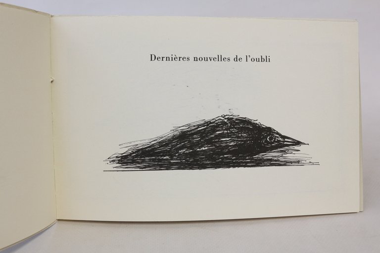 Dernières nouvelles de l'oubli