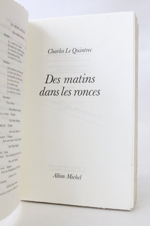 Des matins dans les ronces