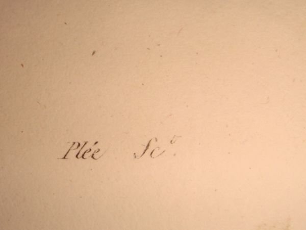 DESCRIPTION DE L'EGYPTE. Botanique. Artemisia monosperma, Artemisia inculta, Atremisia judaica. …
