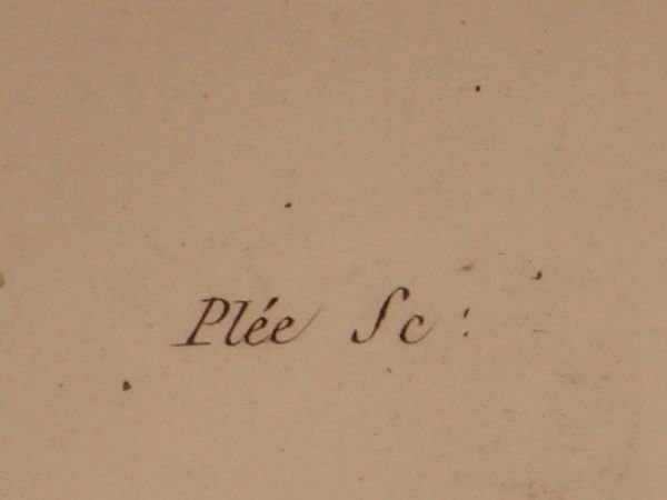 DESCRIPTION DE L'EGYPTE. Botanique. Croton oblongifolium, Menispermum leaeba femina, Menispermum … | Immagine Gallery 11