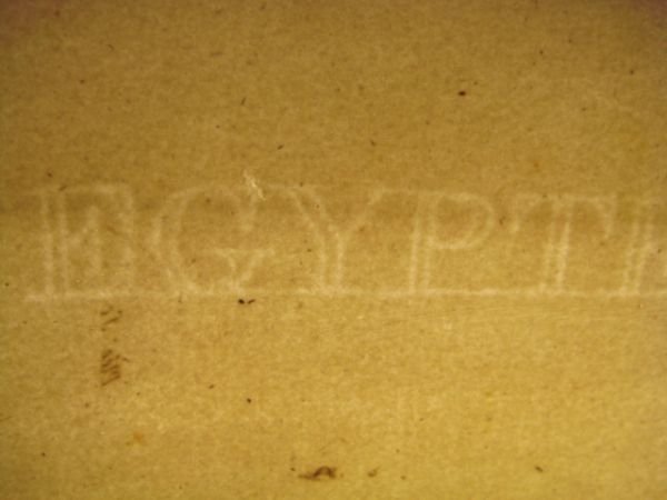 DESCRIPTION DE L'EGYPTE. Botanique. Croton oblongifolium, Menispermum leaeba femina, Menispermum … | Immagine Gallery 12