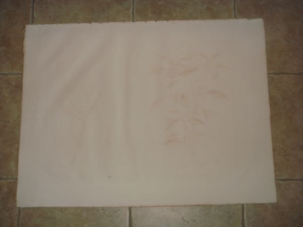 DESCRIPTION DE L'EGYPTE. Botanique. Croton oblongifolium, Menispermum leaeba femina, Menispermum … | Immagine Gallery 13