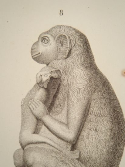 DESCRIPTION DE L'EGYPTE. Collection d'antiques. Lampe et figure en bronze, …