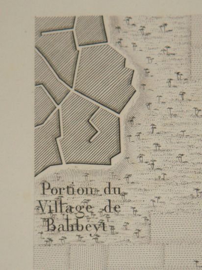 DESCRIPTION DE L'EGYPTE. Delta. Environs de Sebennytus. Plan topographique et …