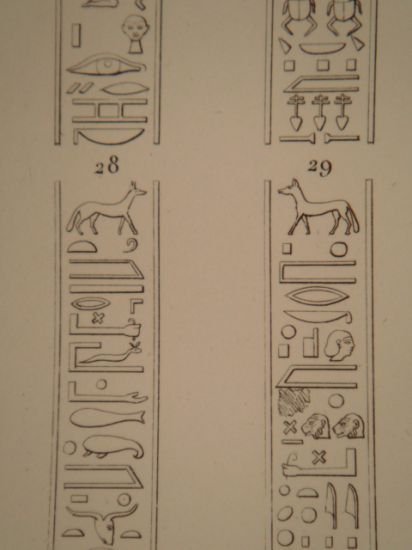 DESCRIPTION DE L'EGYPTE. Ile de Philae. Bas-reliefs et autres sculptures …