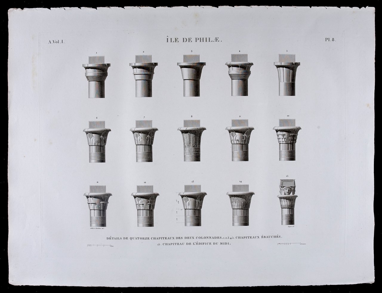 DESCRIPTION DE L'EGYPTE. Ile de Philae. Détails de quatorze chapiteaux …