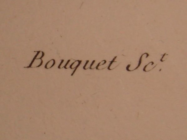 DESCRIPTION DE L'EGYPTE. Poissons. Pastenague lit, Mourine à museau échancré. …