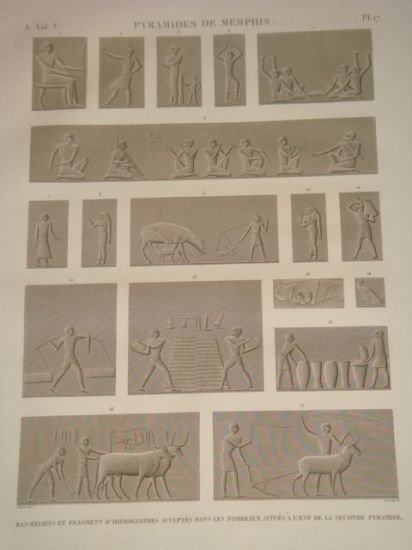 DESCRIPTION DE L'EGYPTE. Pyramides de Memphis. Bas-reliefs et fragment de …