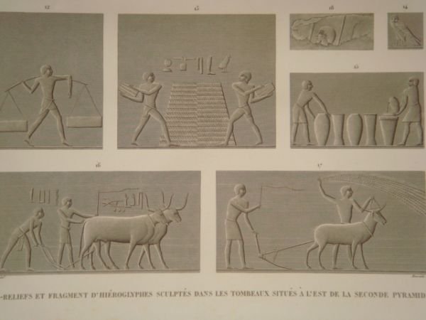 DESCRIPTION DE L'EGYPTE. Pyramides de Memphis. Bas-reliefs et fragment de …