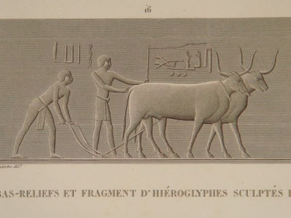 DESCRIPTION DE L'EGYPTE. Pyramides de Memphis. Bas-reliefs et fragment de …