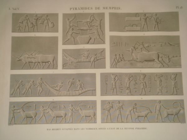 DESCRIPTION DE L'EGYPTE. Pyramides de Memphis. Bas-reliefs sculptés dans les …