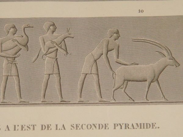 DESCRIPTION DE L'EGYPTE. Pyramides de Memphis. Bas-reliefs sculptés dans les …