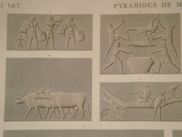 DESCRIPTION DE L'EGYPTE. Pyramides de Memphis. Bas-reliefs sculptés dans les …