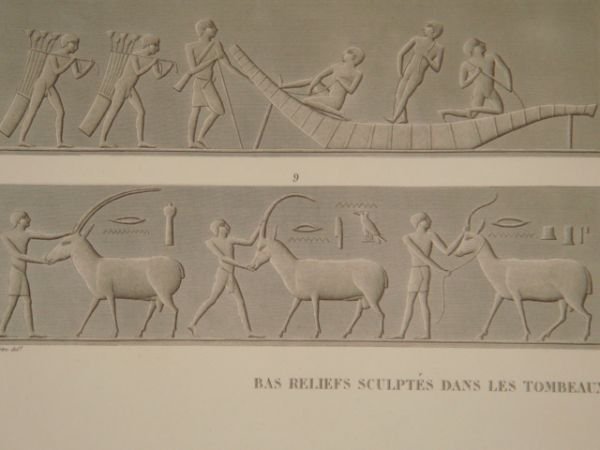 DESCRIPTION DE L'EGYPTE. Pyramides de Memphis. Bas-reliefs sculptés dans les …