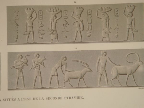 DESCRIPTION DE L'EGYPTE. Pyramides de Memphis. Bas-reliefs sculptés dans les …