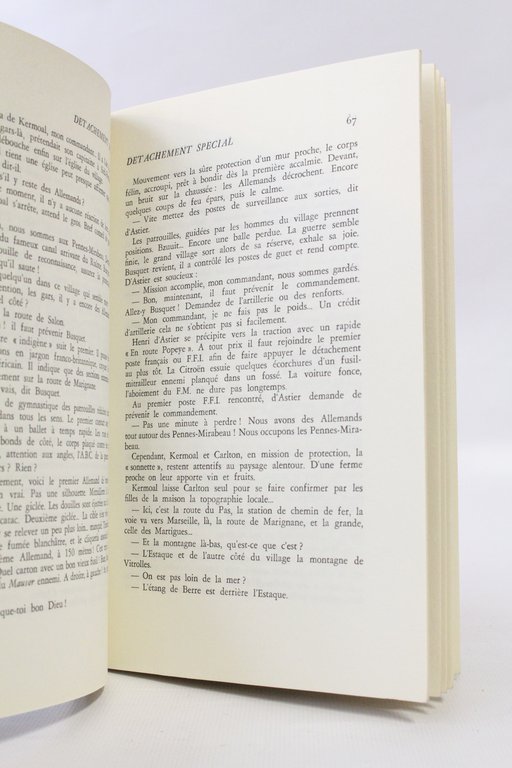 Détachement spécial : Commandos de France
