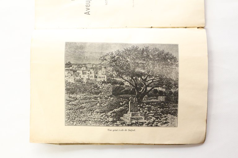 Dictionnaire biographique des aveugles illustres de l'Orient