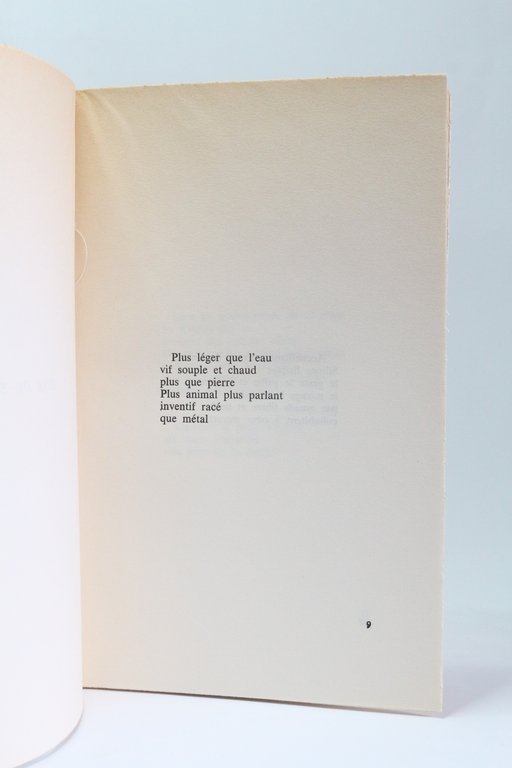 Dires du bois des pierres et du feu