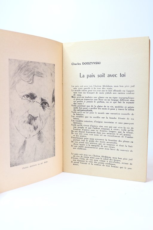Domaine Yidich. Revue de littérature juive N°3 & 4