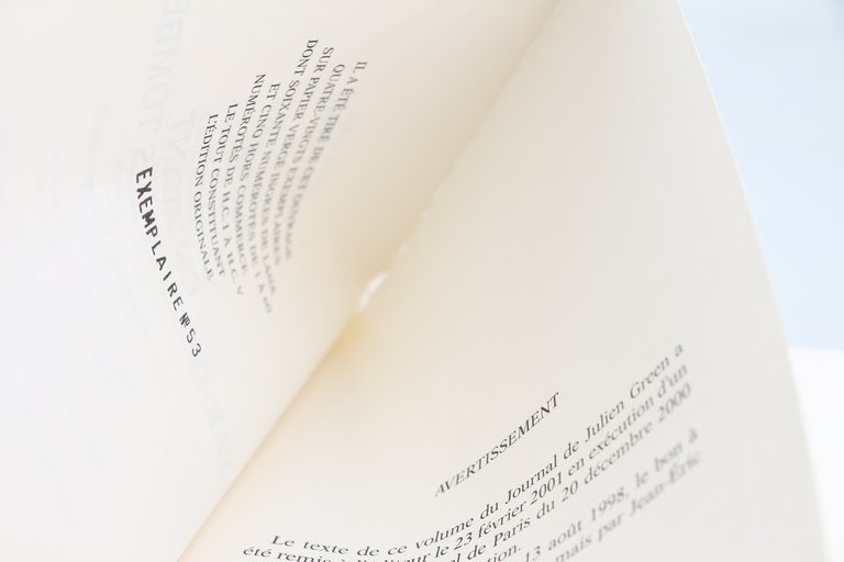 En passant par-dessus les Tombes. Journal 1996-1997