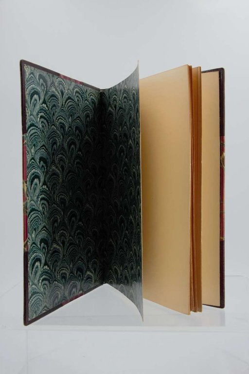 Exposition d'ouvrages peints dessinés ou gravés par Th.-A. Steinlen