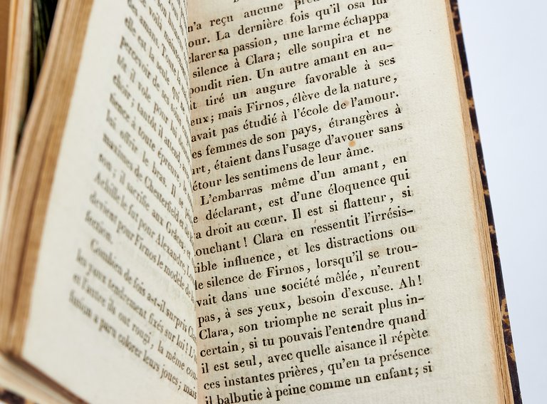 Le Panorama des boudoirs, ou l'Empire des Nairs • [FEMINISME]