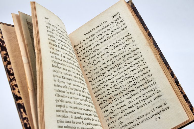 Le Panorama des boudoirs, ou l'Empire des Nairs • [FEMINISME]