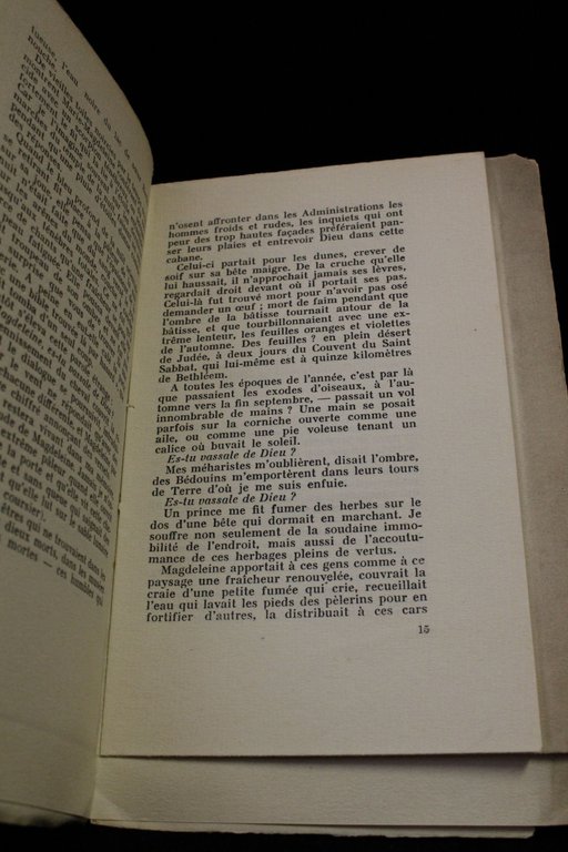 Fièvre des souvenirs d'exil