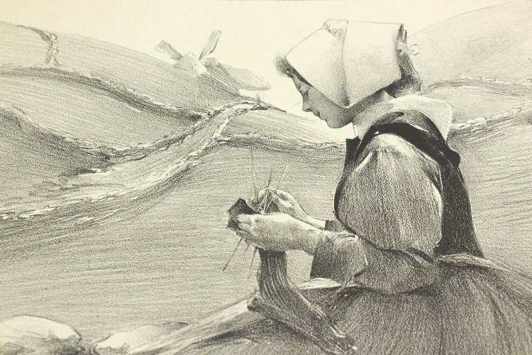 "Fleur de Lande" - Lithographie originale sur Chine - L'Estampe …