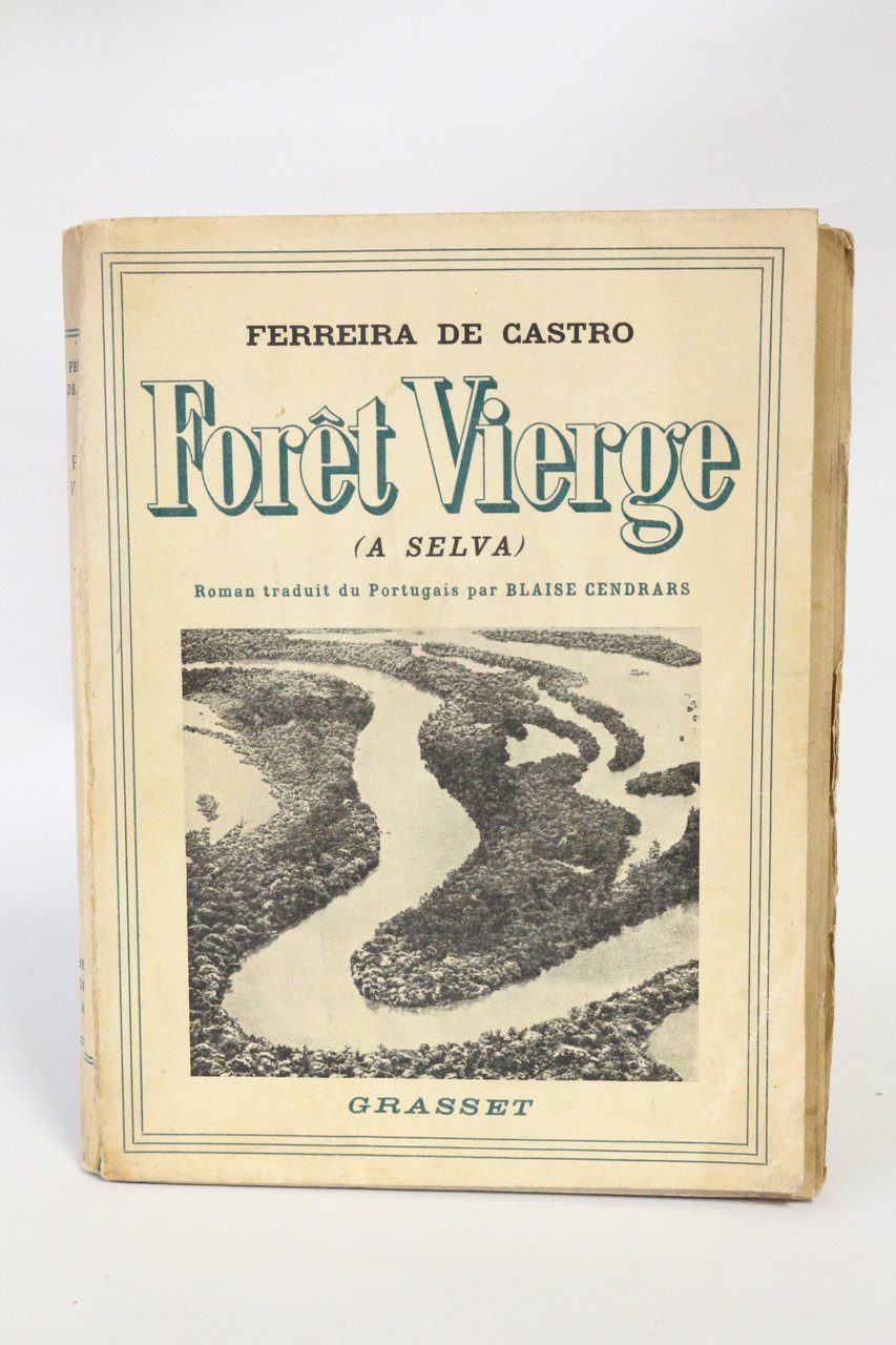 Forêt vierge