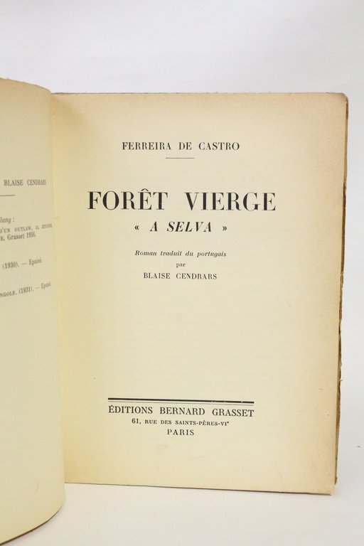 Forêt vierge