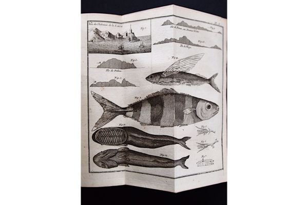 Histoire d'un voyage aux isles Malouines, fait en 1763 & …
