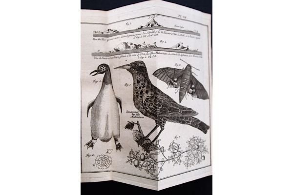 Histoire d'un voyage aux isles Malouines, fait en 1763 & …