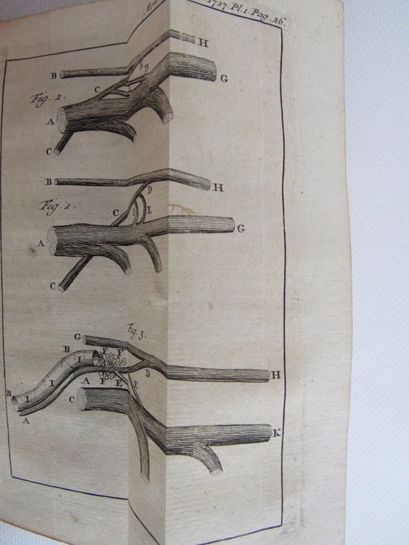 Histoire de l'Académie royale des sciences. Année 1727