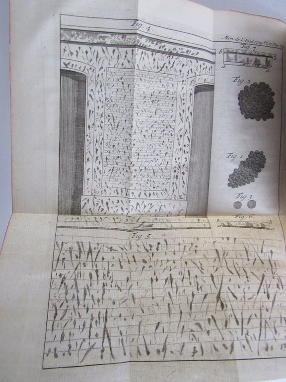 Histoire de l'Académie royale des sciences. Année 1729