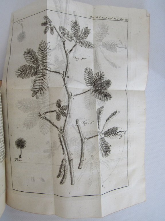 Histoire de l'Académie royale des sciences. Année 1736