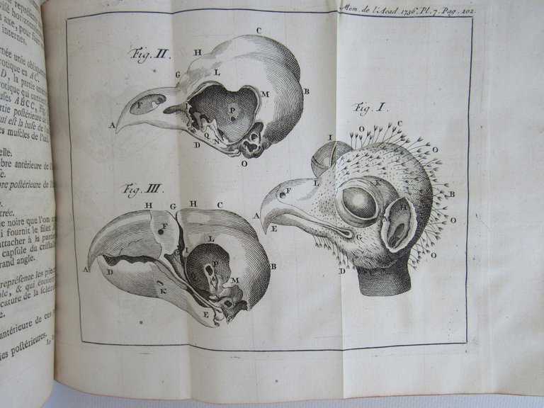 Histoire de l'Académie royale des sciences. Année 1736