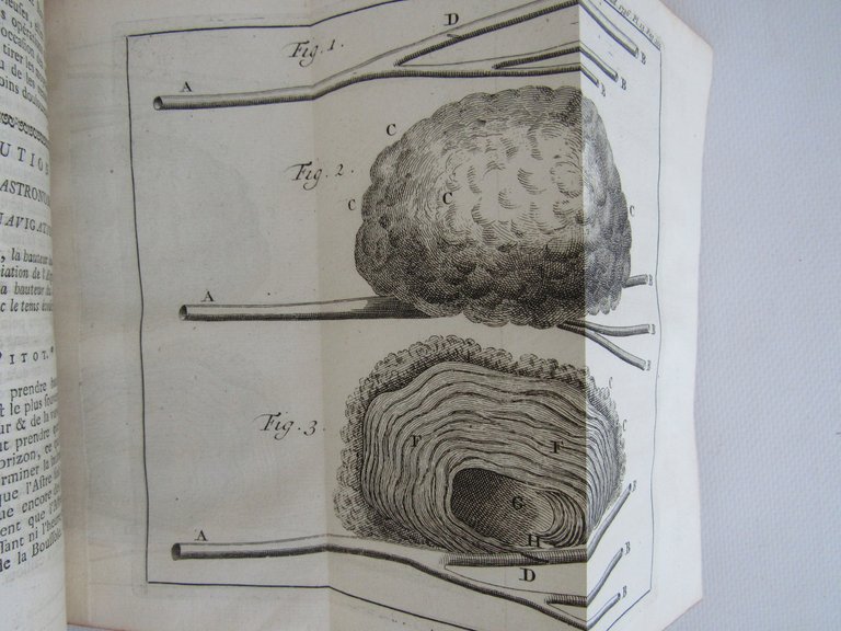 Histoire de l'Académie royale des sciences. Année 1736